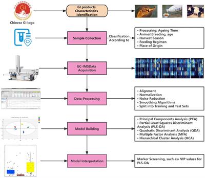 Application of GC-IMS coupled with chemometric analysis for the classification and authentication of geographical indication agricultural products and food